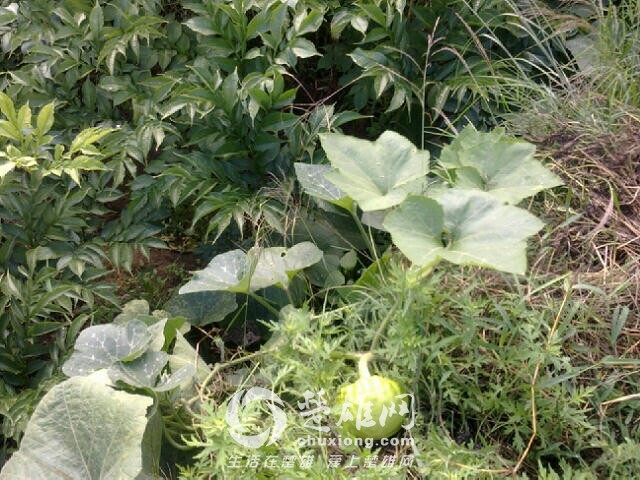 QQ图片20140910105033.jpg