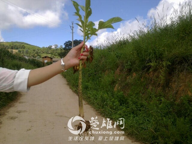 QQ图片20140910104339.jpg