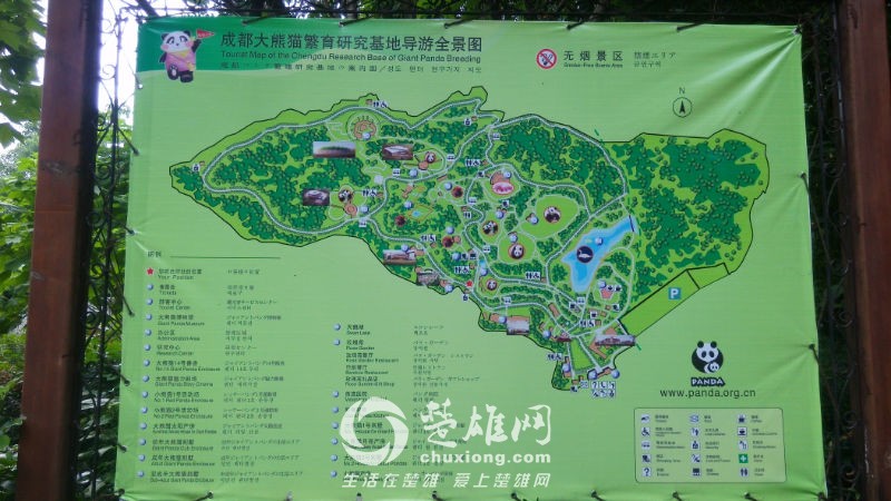 img_20140804_160830.jpg
