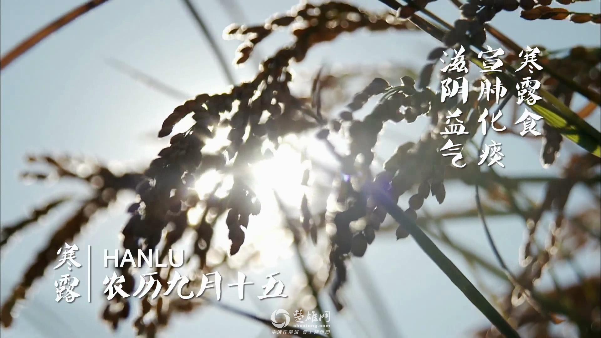 新东方节气寒露_2014108111853.JPG