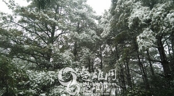 QQ图片20141219152527.jpg