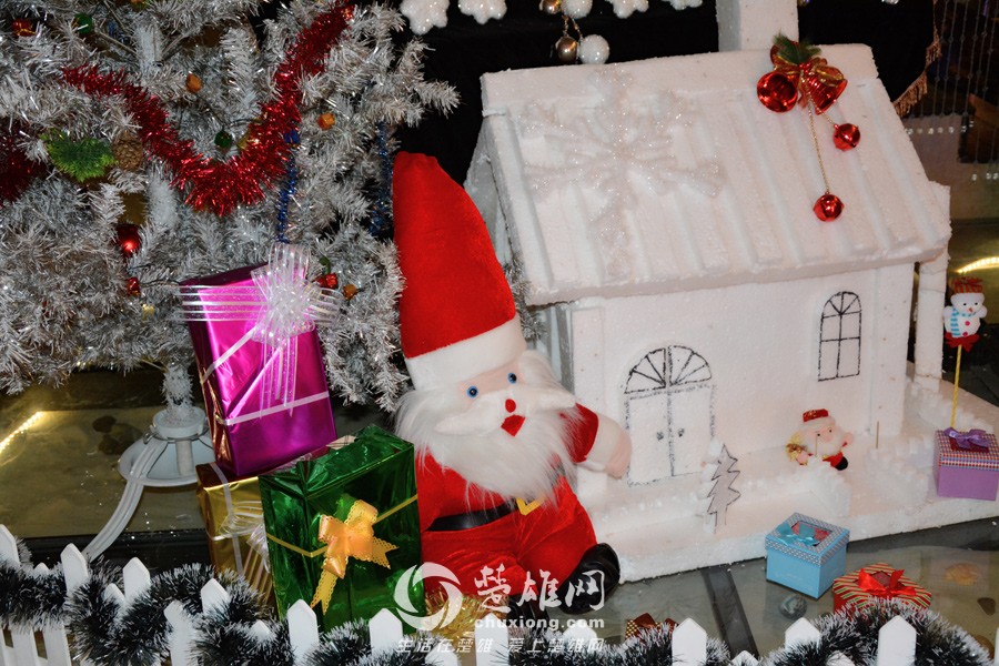 DSC_8387.jpg