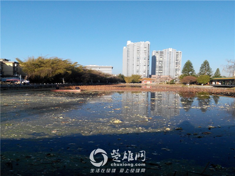 IMG_20150203_091054_副本.jpg