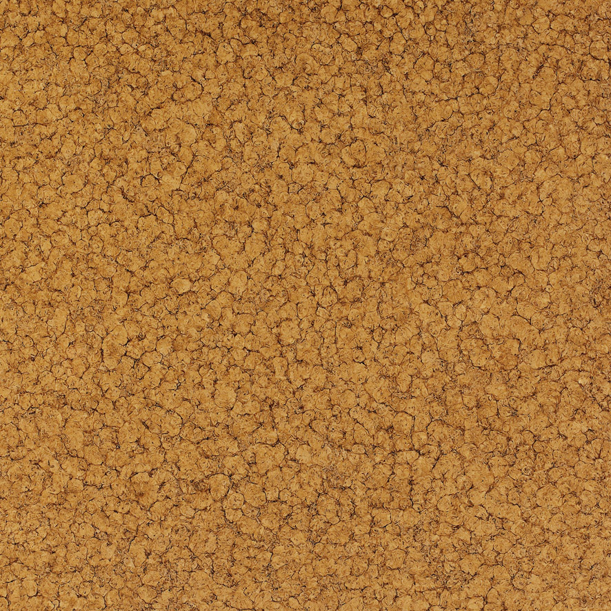 B4J59（600x600）（800x800）（1200x600）（1000x1000）.jpg