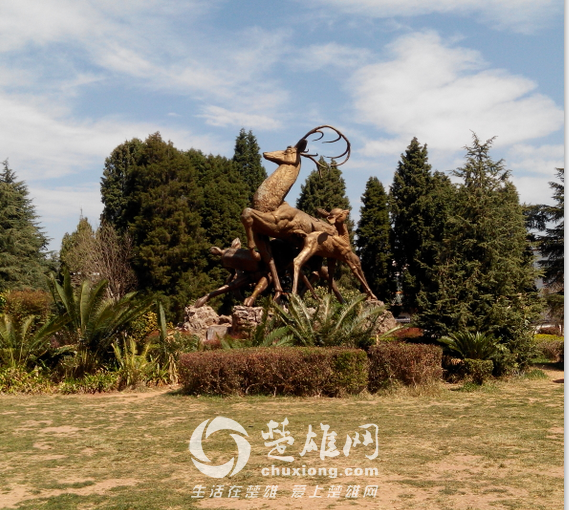 QQ图片20150302155227.png