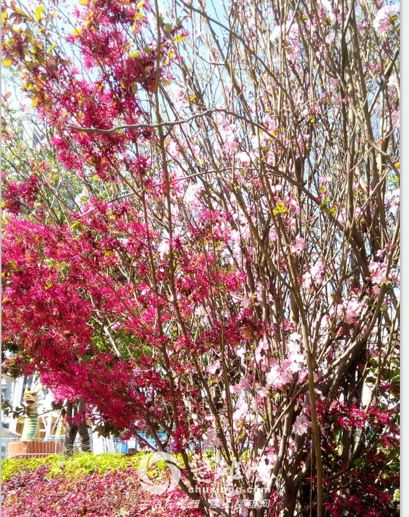 QQ图片20150302155139.png