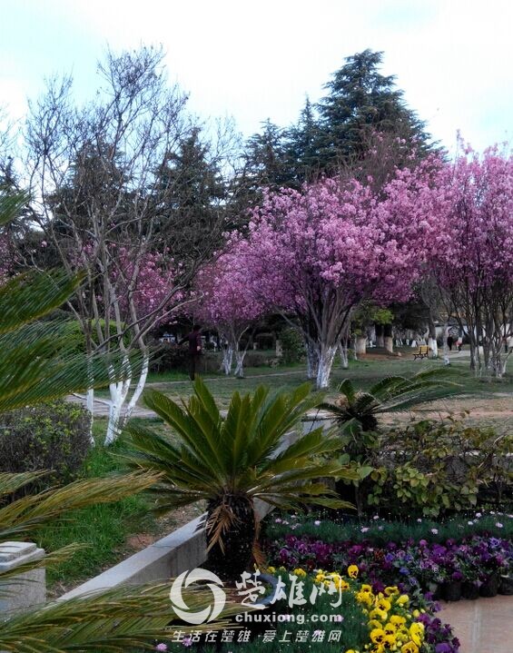 QQ图片20150302155121.jpg