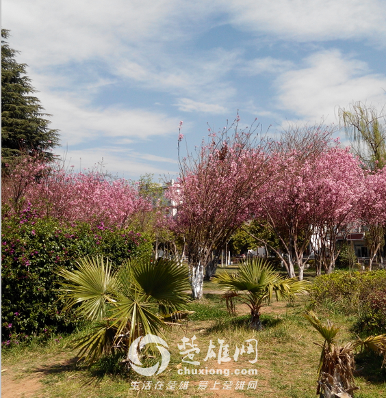 QQ图片20150302155241.png
