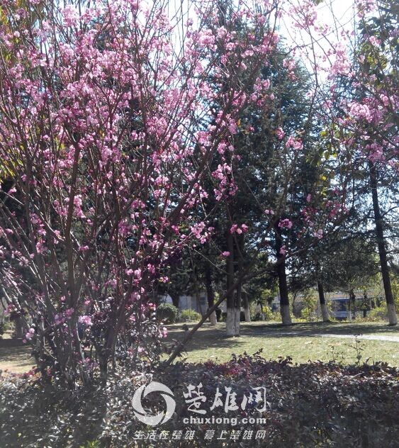 QQ图片20150302155157.jpg