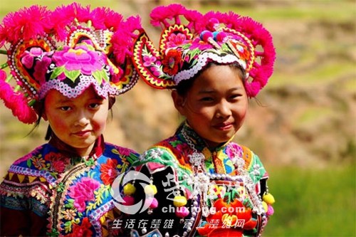2601_500x500.jpg