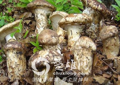 t019be033616fe69e1a.jpg