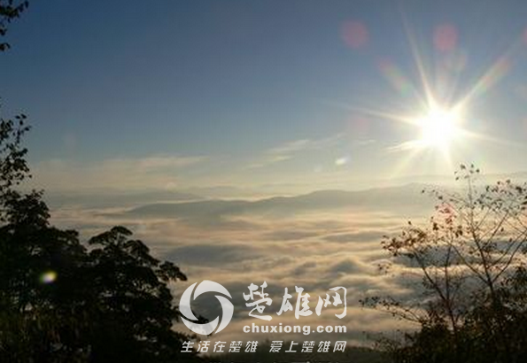 QQ图片20150305102537.png