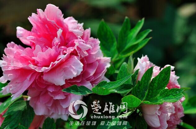 QQ图片20150310103450.jpg