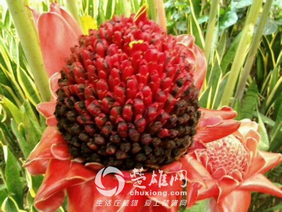 c892fadcd100baa10a6dd05d4410b912cafc2ec6.jpg