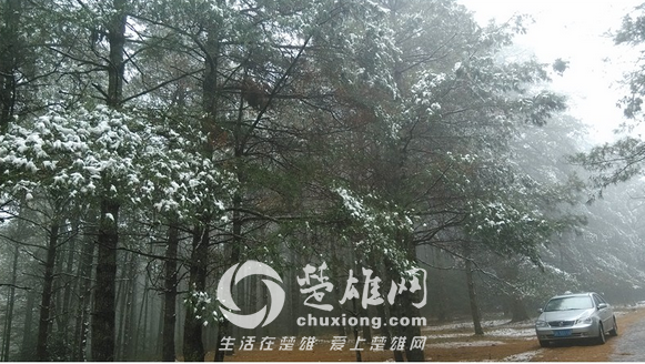 QQ图片20150311152941.png