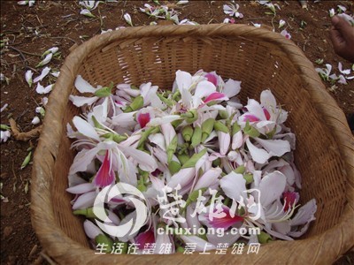 20120331201150399.jpg