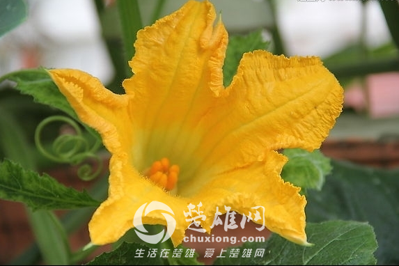 QQ图片20150312144154.png
