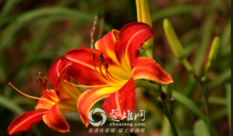 QQ图片20150312120322.png