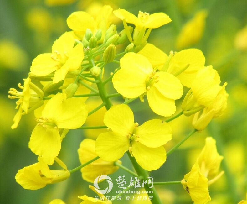 QQ图片20150312120023.jpg