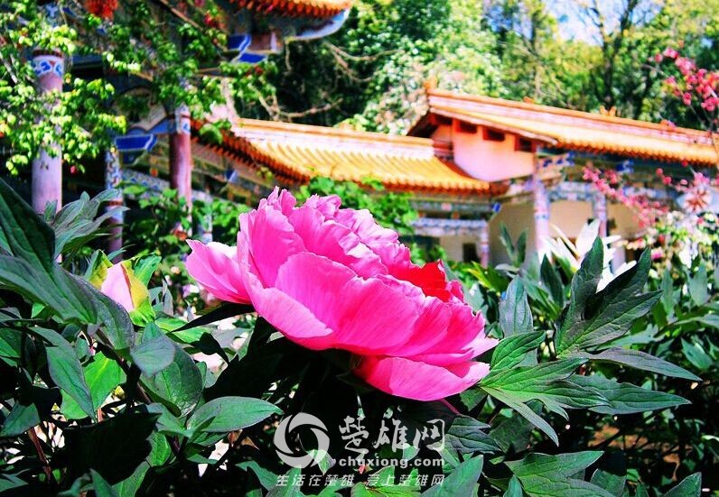 QQ图片20150309152043.jpg