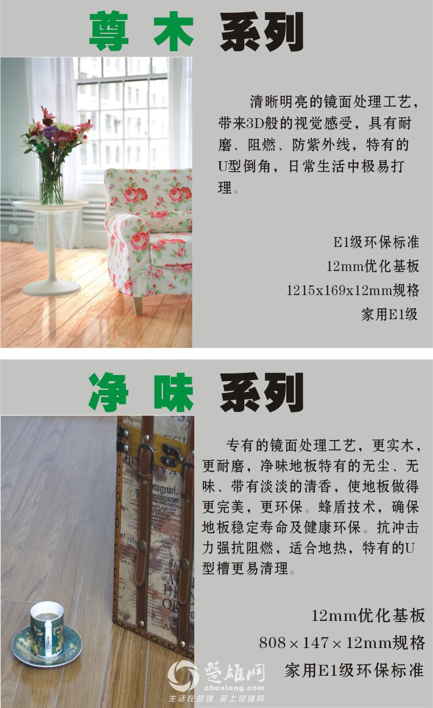 吉象尊木，净味图片.jpg