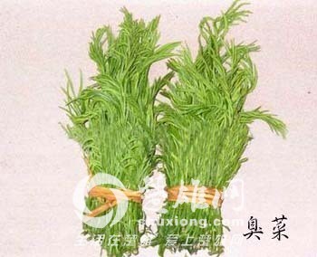 t019204cb326c2995fb.jpg