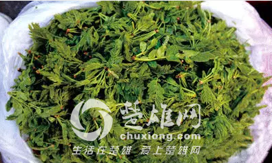 QQ图片20150313152035.png