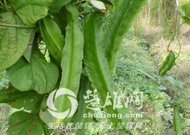 t0159d070d0946c4fb2.png