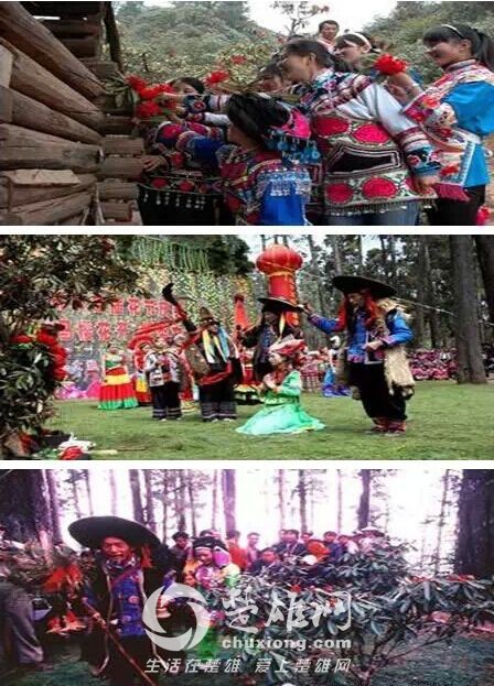 QQ图片20150316134812.jpg