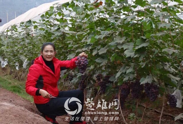 QQ图片20150316143743.jpg