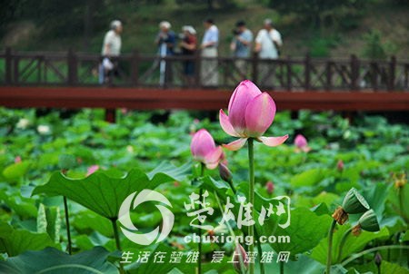 94FE96B44C00046C9A492626B3121BC3_看图王.jpg