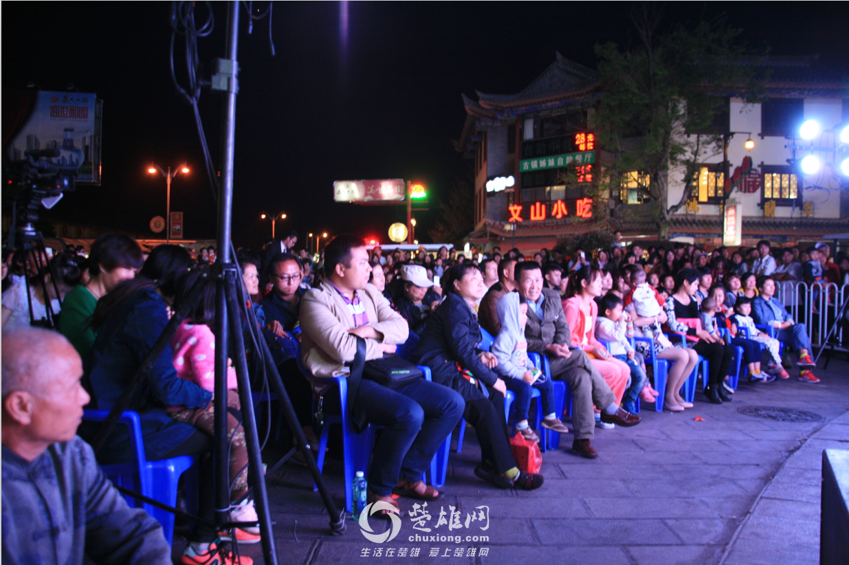 晚会现场座无虚席.png