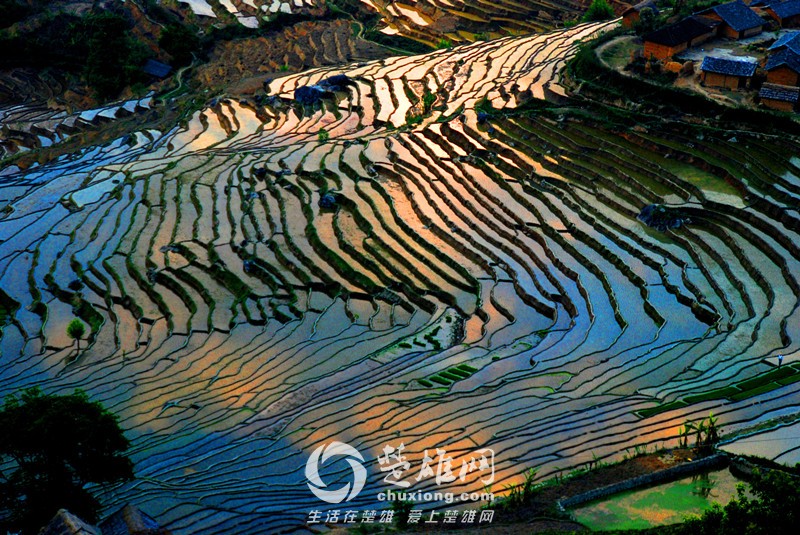 f6516_9.jpg