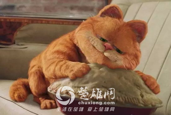 QQ图片20150323155622.png