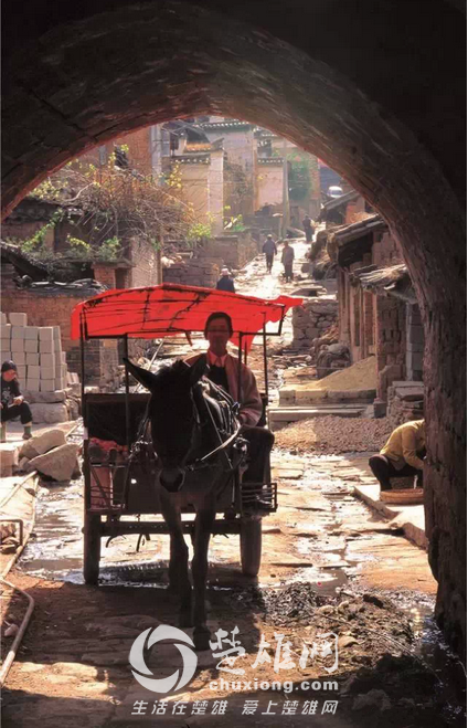 禄丰炼象关2.png