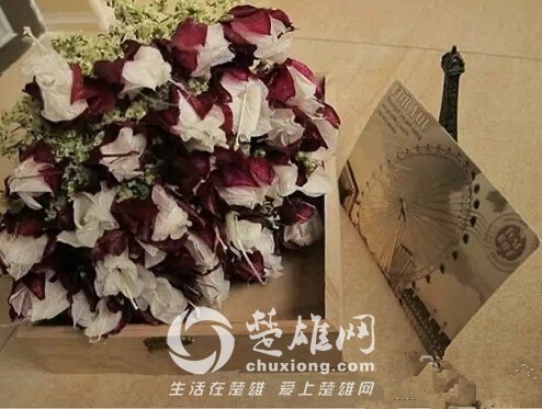 153229favau9n6896xufe8.jpg