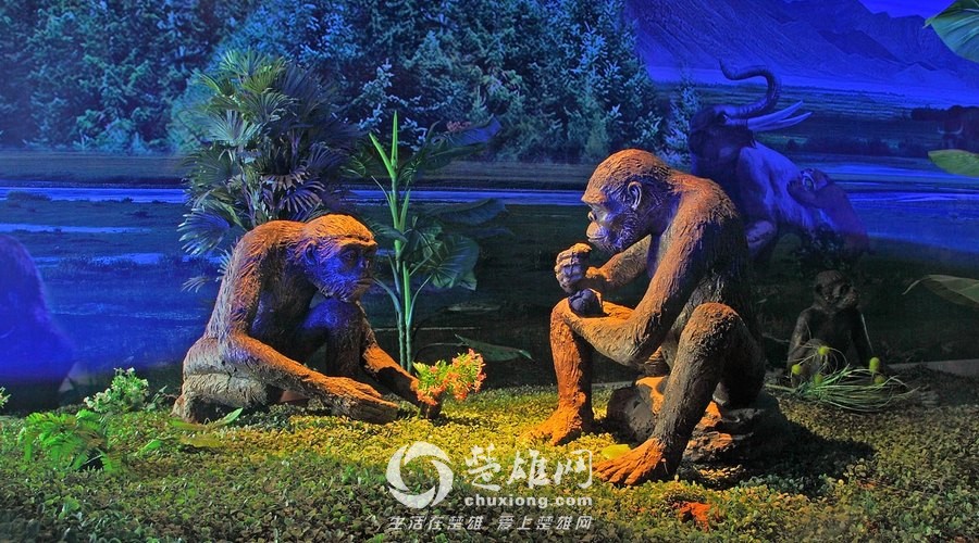 楚雄12.jpg
