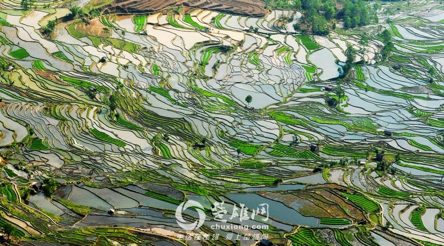 红河1.jpg