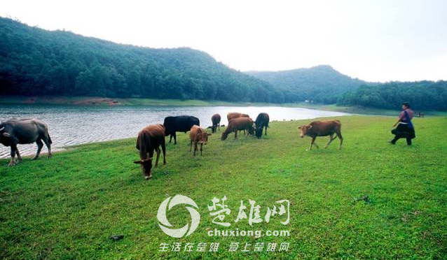QQ图片20150330155050.png
