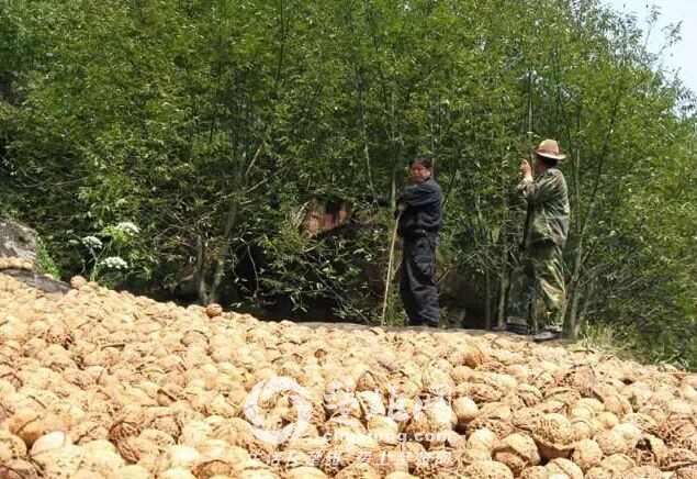 QQ图片20150330155102.jpg
