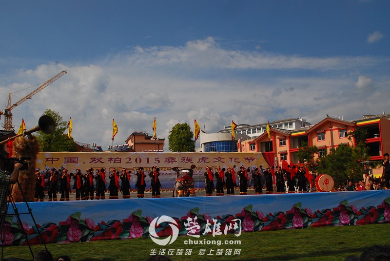 双柏县举办2015彝族虎文化节.jpg