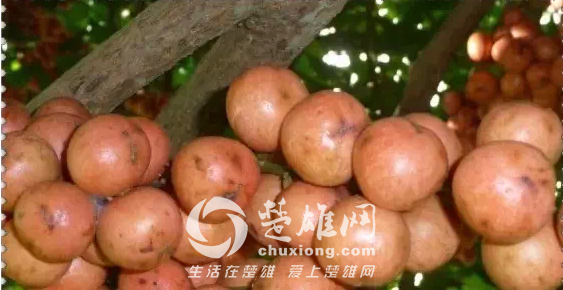 QQ图片20150331162138.png