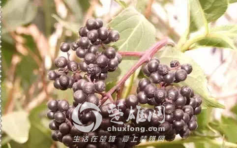 QQ图片20150331162152.png