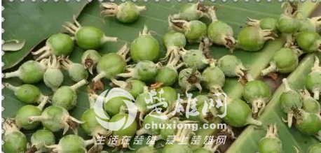 QQ图片20150331162209.png