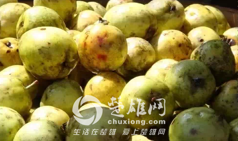 QQ图片20150331162222.png