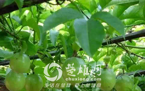 QQ图片20150331162233.png