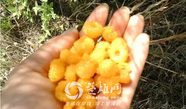 QQ图片20150331162301.png