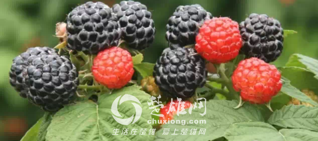 QQ图片20150331162314.png