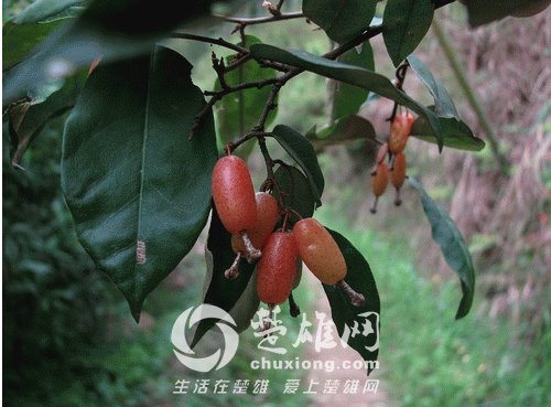 QQ图片20150331162406.png