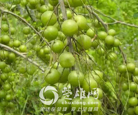 QQ图片20150331162443.png